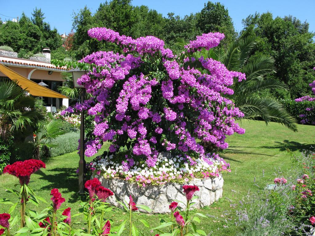 Bed & Breakfast Iris Moscenicka Draga
