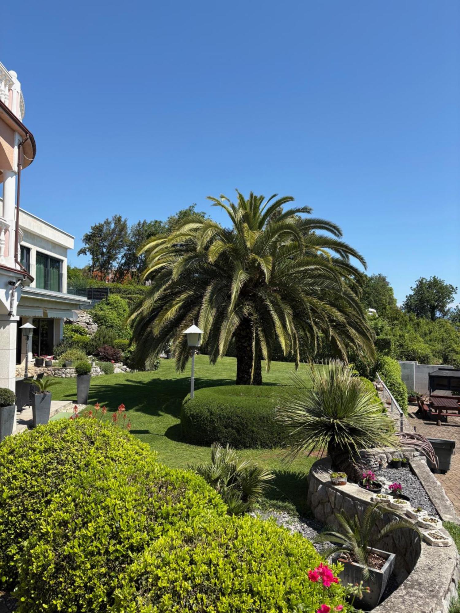 Iris Bed & Breakfast 3*